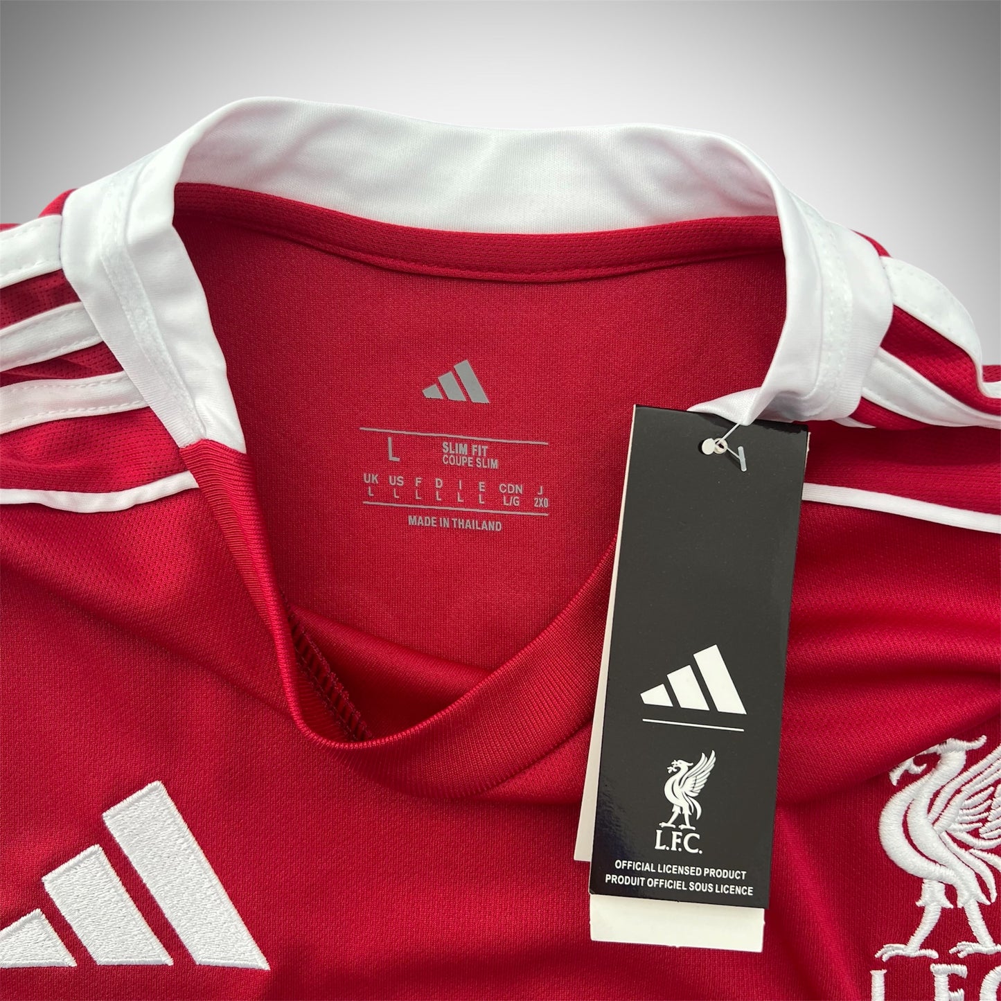 Liverpool - Van Dijk